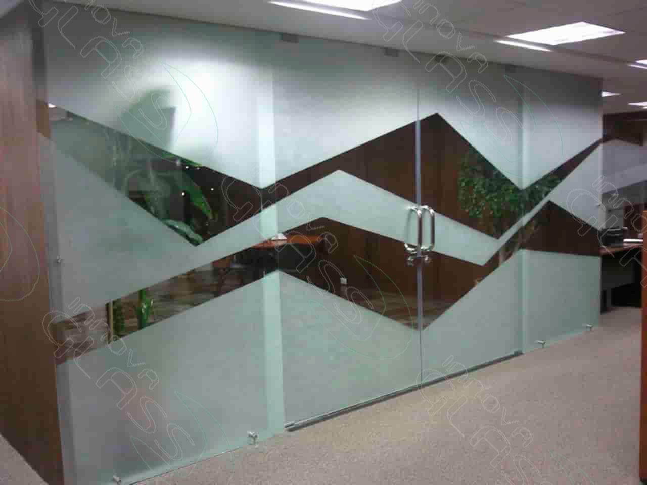 riel-carros-min-marca-agua